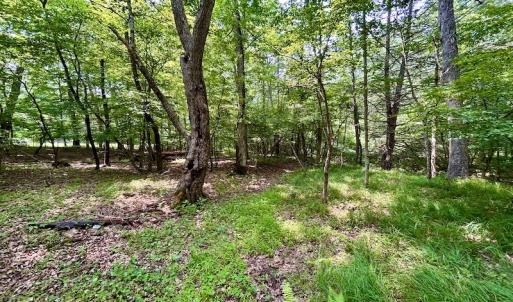 Photo #53 of SOLD property in 3598 Lower Fork Rd, Williamsville, VA 22.2 acres
