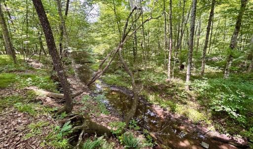 Photo #54 of SOLD property in 3598 Lower Fork Rd, Williamsville, VA 22.2 acres
