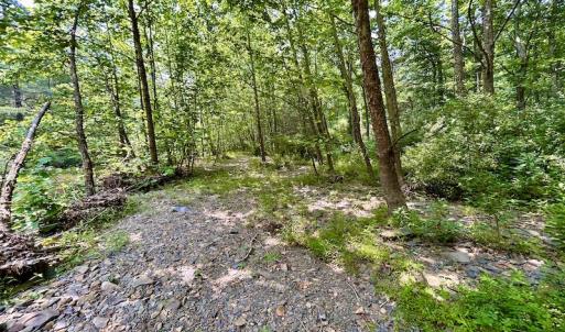 Photo #62 of SOLD property in 3598 Lower Fork Rd, Williamsville, VA 22.2 acres