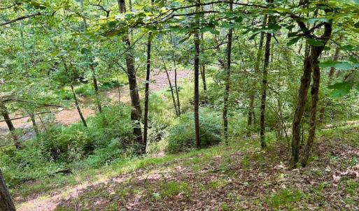 Photo #64 of SOLD property in 3598 Lower Fork Rd, Williamsville, VA 22.2 acres