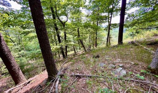 Photo #65 of SOLD property in 3598 Lower Fork Rd, Williamsville, VA 22.2 acres