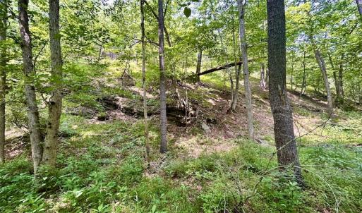 Photo #66 of SOLD property in 3598 Lower Fork Rd, Williamsville, VA 22.2 acres