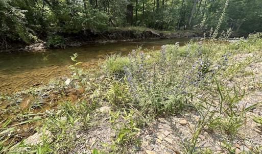 Photo #75 of SOLD property in 3598 Lower Fork Rd, Williamsville, VA 22.2 acres