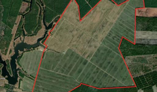 Photo #1 of SOLD property in Off Shiloh Rd, Ivanhoe, NC 1,153.0 acres