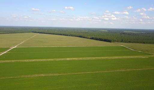 Photo #10 of SOLD property in Off Shiloh Rd, Ivanhoe, NC 1,153.0 acres