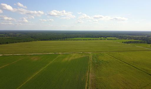 Photo #11 of SOLD property in Off Shiloh Rd, Ivanhoe, NC 1,153.0 acres