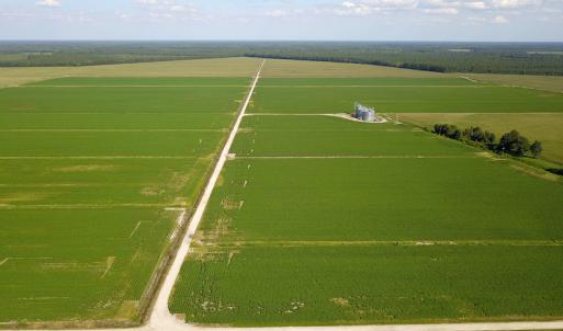 Photo #12 of SOLD property in Off Shiloh Rd, Ivanhoe, NC 1,153.0 acres