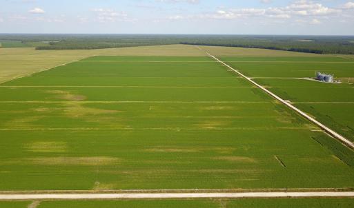 Photo #13 of SOLD property in Off Shiloh Rd, Ivanhoe, NC 1,153.0 acres