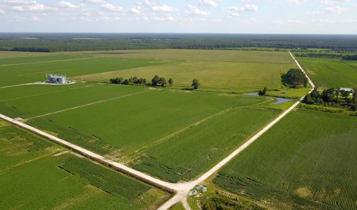 Photo #14 of SOLD property in Off Shiloh Rd, Ivanhoe, NC 1,153.0 acres