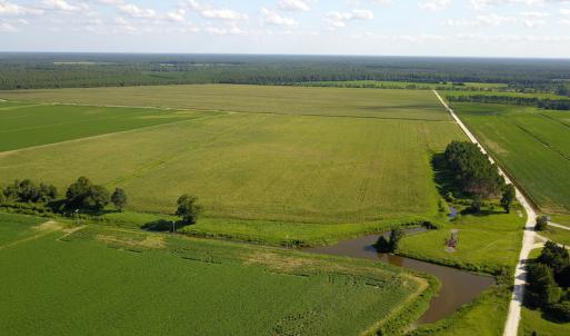 Photo #15 of SOLD property in Off Shiloh Rd, Ivanhoe, NC 1,153.0 acres