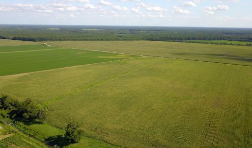 Photo #16 of SOLD property in Off Shiloh Rd, Ivanhoe, NC 1,153.0 acres