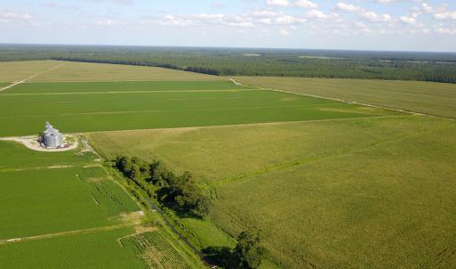 Photo #17 of SOLD property in Off Shiloh Rd, Ivanhoe, NC 1,153.0 acres
