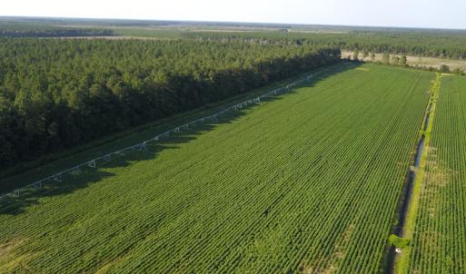 Photo #19 of SOLD property in Off Shiloh Rd, Ivanhoe, NC 1,153.0 acres