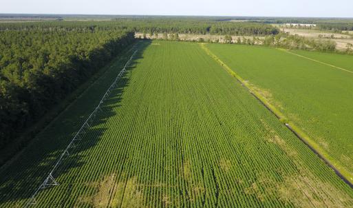 Photo #20 of SOLD property in Off Shiloh Rd, Ivanhoe, NC 1,153.0 acres