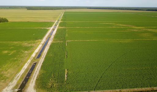 Photo #21 of SOLD property in Off Shiloh Rd, Ivanhoe, NC 1,153.0 acres