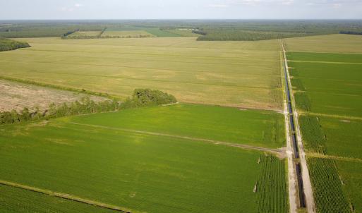 Photo #22 of SOLD property in Off Shiloh Rd, Ivanhoe, NC 1,153.0 acres