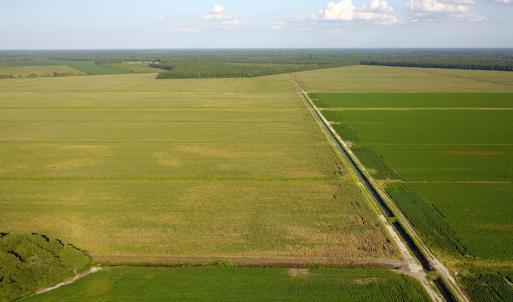 Photo #23 of SOLD property in Off Shiloh Rd, Ivanhoe, NC 1,153.0 acres