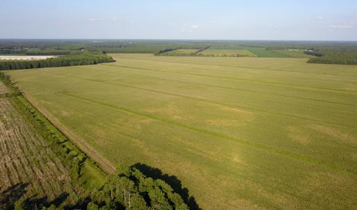 Photo #24 of SOLD property in Off Shiloh Rd, Ivanhoe, NC 1,153.0 acres