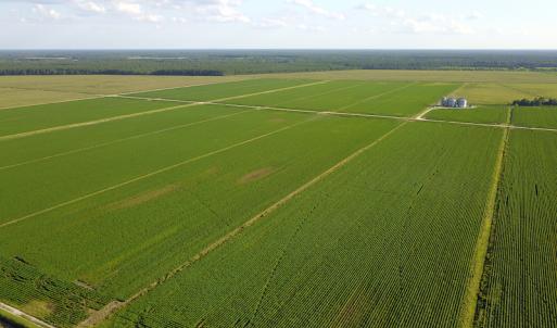 Photo #25 of SOLD property in Off Shiloh Rd, Ivanhoe, NC 1,153.0 acres