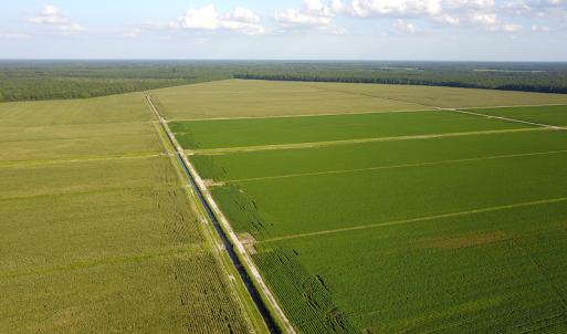 Photo #26 of SOLD property in Off Shiloh Rd, Ivanhoe, NC 1,153.0 acres