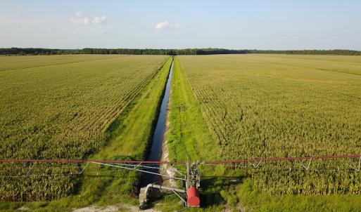 Photo #28 of SOLD property in Off Shiloh Rd, Ivanhoe, NC 1,153.0 acres
