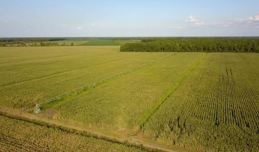 Photo #29 of SOLD property in Off Shiloh Rd, Ivanhoe, NC 1,153.0 acres