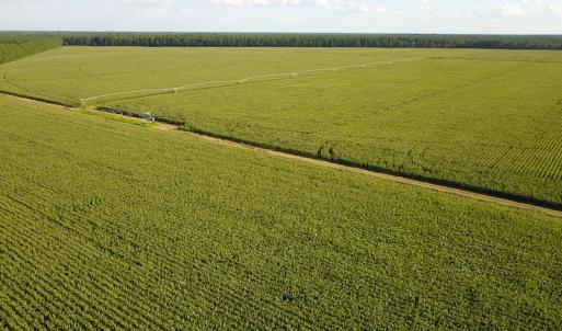 Photo #30 of SOLD property in Off Shiloh Rd, Ivanhoe, NC 1,153.0 acres