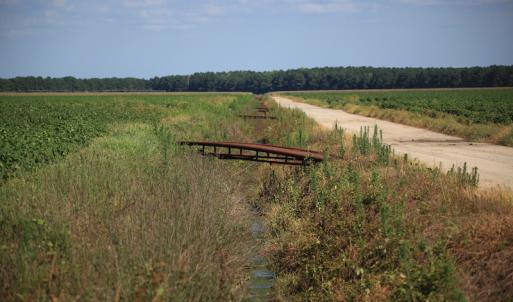 Photo #36 of SOLD property in Off Shiloh Rd, Ivanhoe, NC 1,153.0 acres