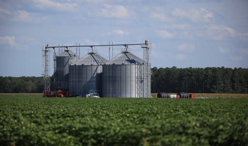 Photo #37 of SOLD property in Off Shiloh Rd, Ivanhoe, NC 1,153.0 acres