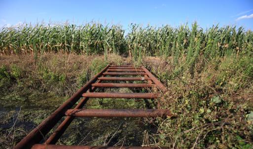 Photo #39 of SOLD property in Off Shiloh Rd, Ivanhoe, NC 1,153.0 acres