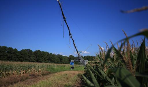 Photo #42 of SOLD property in Off Shiloh Rd, Ivanhoe, NC 1,153.0 acres