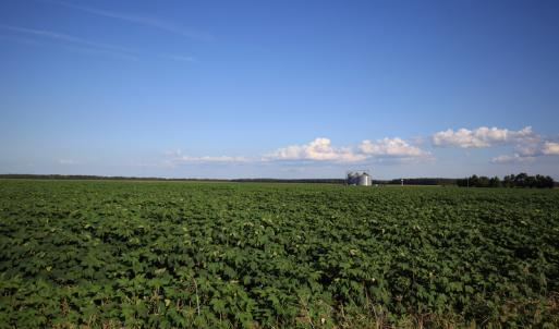 Photo #44 of SOLD property in Off Shiloh Rd, Ivanhoe, NC 1,153.0 acres
