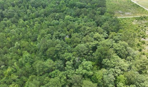 Photo #23 of Off Soney Lane, Gatesville, NC 26.5 acres