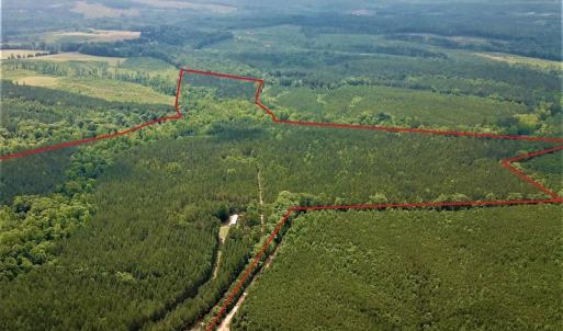 Photo #28 of SOLD property in 1129 Parsons Lane, Lunenburg, VA 104.3 acres
