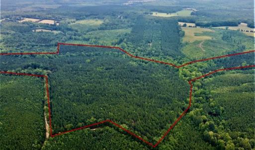 Photo #29 of SOLD property in 1129 Parsons Lane, Lunenburg, VA 104.3 acres