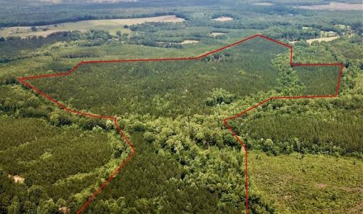 Photo #30 of SOLD property in 1129 Parsons Lane, Lunenburg, VA 104.3 acres