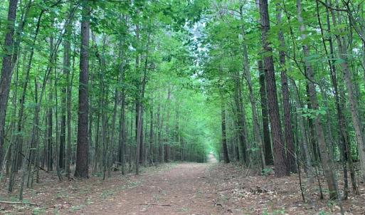 Photo #31 of SOLD property in 1129 Parsons Lane, Lunenburg, VA 104.3 acres