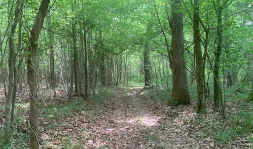 Photo #32 of SOLD property in 1129 Parsons Lane, Lunenburg, VA 104.3 acres