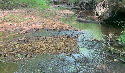 Photo #33 of SOLD property in 1129 Parsons Lane, Lunenburg, VA 104.3 acres