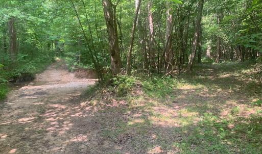 Photo #34 of SOLD property in 1129 Parsons Lane, Lunenburg, VA 104.3 acres