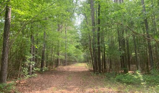 Photo #35 of SOLD property in 1129 Parsons Lane, Lunenburg, VA 104.3 acres