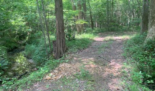 Photo #36 of SOLD property in 1129 Parsons Lane, Lunenburg, VA 104.3 acres