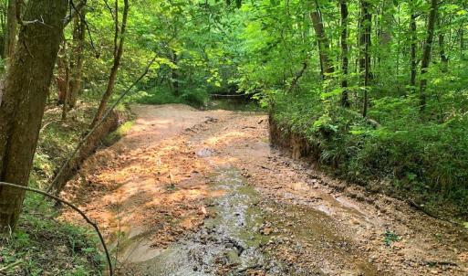 Photo #37 of SOLD property in 1129 Parsons Lane, Lunenburg, VA 104.3 acres