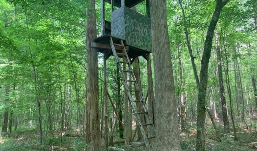 Photo #38 of SOLD property in 1129 Parsons Lane, Lunenburg, VA 104.3 acres
