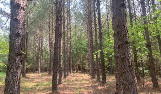 Photo #42 of SOLD property in 1129 Parsons Lane, Lunenburg, VA 104.3 acres