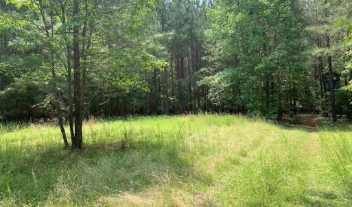 Photo #44 of SOLD property in 1129 Parsons Lane, Lunenburg, VA 104.3 acres