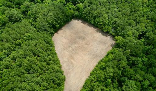 Photo #12 of SOLD property in Off Wilcox Ln, Vanceboro, NC 57.8 acres