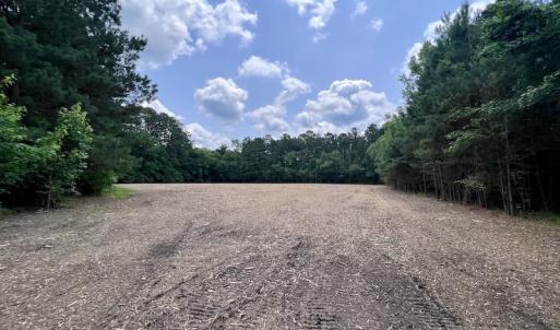 Photo #13 of SOLD property in Off Wilcox Ln, Vanceboro, NC 57.8 acres