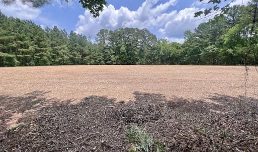 Photo #14 of SOLD property in Off Wilcox Ln, Vanceboro, NC 57.8 acres