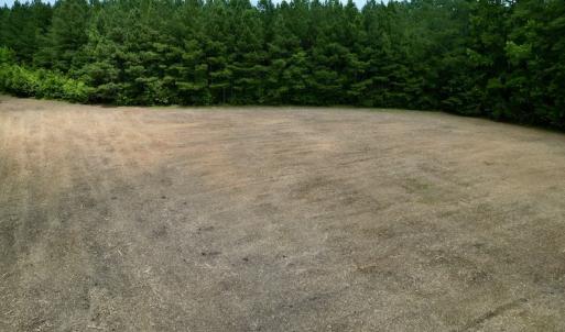 Photo #16 of SOLD property in Off Wilcox Ln, Vanceboro, NC 57.8 acres